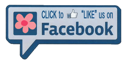 facebook LIKE